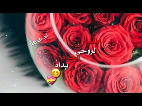 حالات واتس اب بدون موسيقى رحلت الى بحار العشق حلمي