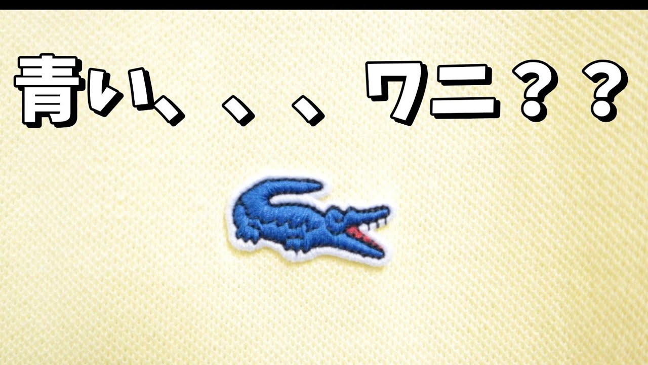 Blue Shock] The croc is blue!! A reissue of the 70s Lacoste