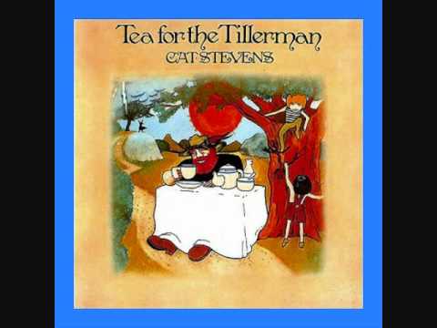 Cat Stevens - Wild World