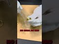 ACIDO NITRICO Y ORO рџ Є ACIDO NITRICO Y ORO рџ Є