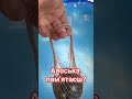 рџ њ Avoska Why Were Transparent Nets Worn In The USSR Avoska Why Were Transparent Nets Worn In T рџ њ Avoska Why Were Transparent Nets Worn In The USSR Avoska Why Were Transparent Nets Worn In T