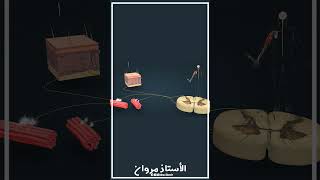 دوراتنا التعليمية في العلوم الطبيعية السبيل لتفوقك الدراسي #بكالوريا #1ثانوي #2 ثانوي #4متوسط