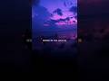 Hai Jamalo Hai Jamalo ❄️ ✨️ ||Whatsapp status videos #ytshorts #ytmusic