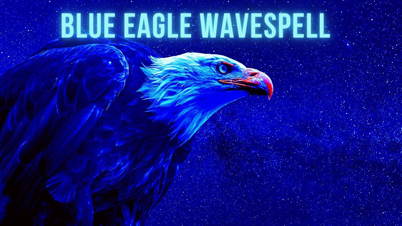 Blue Eagle Wavespell ~ KINS: 235-247 ~ Mayan Tzolkin Calendar - YouTube