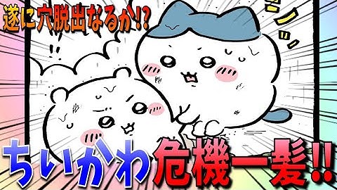 【ちいかわ】草が縮み絶対絶命のピンチ！ちいかわの運命やいかに…！【最新話】