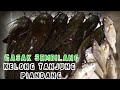 GASAK!!!SEMBILANG KELONG TANJUNG PIANDANG PERAK