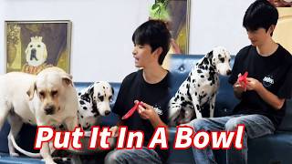 Download Lagu Who Is The Worst, The Seventh Princess Or The Little Princess? MP3