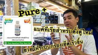 Pure +aquarium แบคทีเรียสำหรับตั้งตู้ใหม่ ช่วยให้ระบบกรองเซ็ตเร็วขึ้น