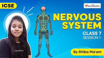 Nervous System | Introduction of Nervous System | ICSE Class 7 Biology | Session 1 - Swiflearn