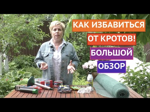 Видео: Советы по борьбе с кротами: узнайте о натуральных репеллентах от кротов