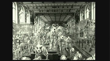 Symposium on Architecture: "Design Techniques"