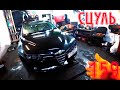 Любимая обосцалася. Alfa Romeo 159 1.9 JTS