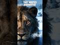 America Once Had a Lion That Hunted Mammoths #shorts #wildlife #extinctanimals