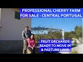PROFESSIONAL CHERRY FARM FOR SALE - READY TO MOVE IN HOUSE - CENTRAL PORTUGAL CHEAP REAL ESTATE