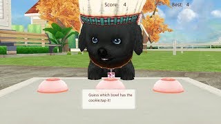 Dog Sweetie- Activities, Games, and Quests with your dog screenshot 3