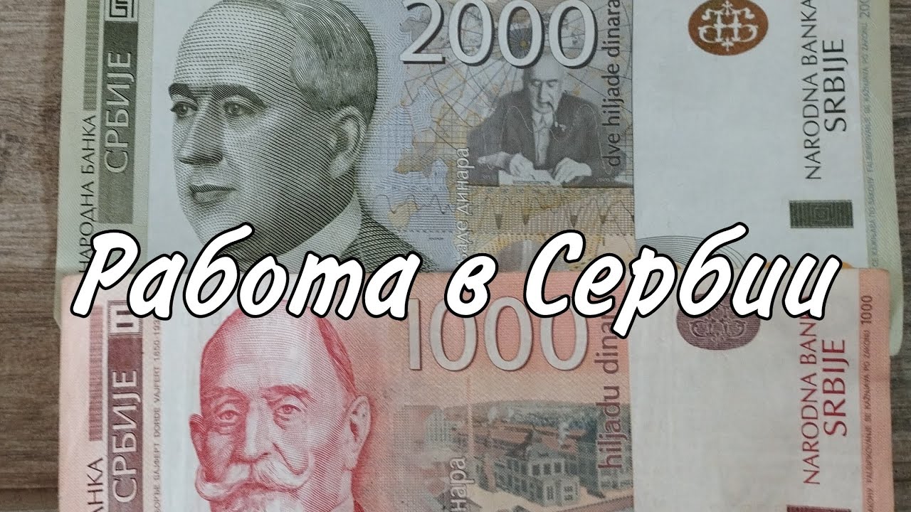 Работа и заработки в Сербии.