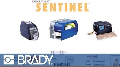 Teklynx Sentinel Automated Label Printing Video