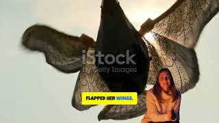 The Little Bird Who Learned to Fly