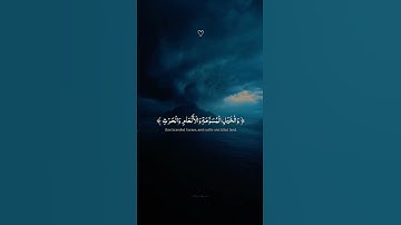 ﴿زُيِّنَ لِلنَّاسِ حُبُّ الشَّهَوَاتِ ﴾ القارئ"عبدالرحمن مسعد" صوت تقشعر له الأبدان 🤍😴