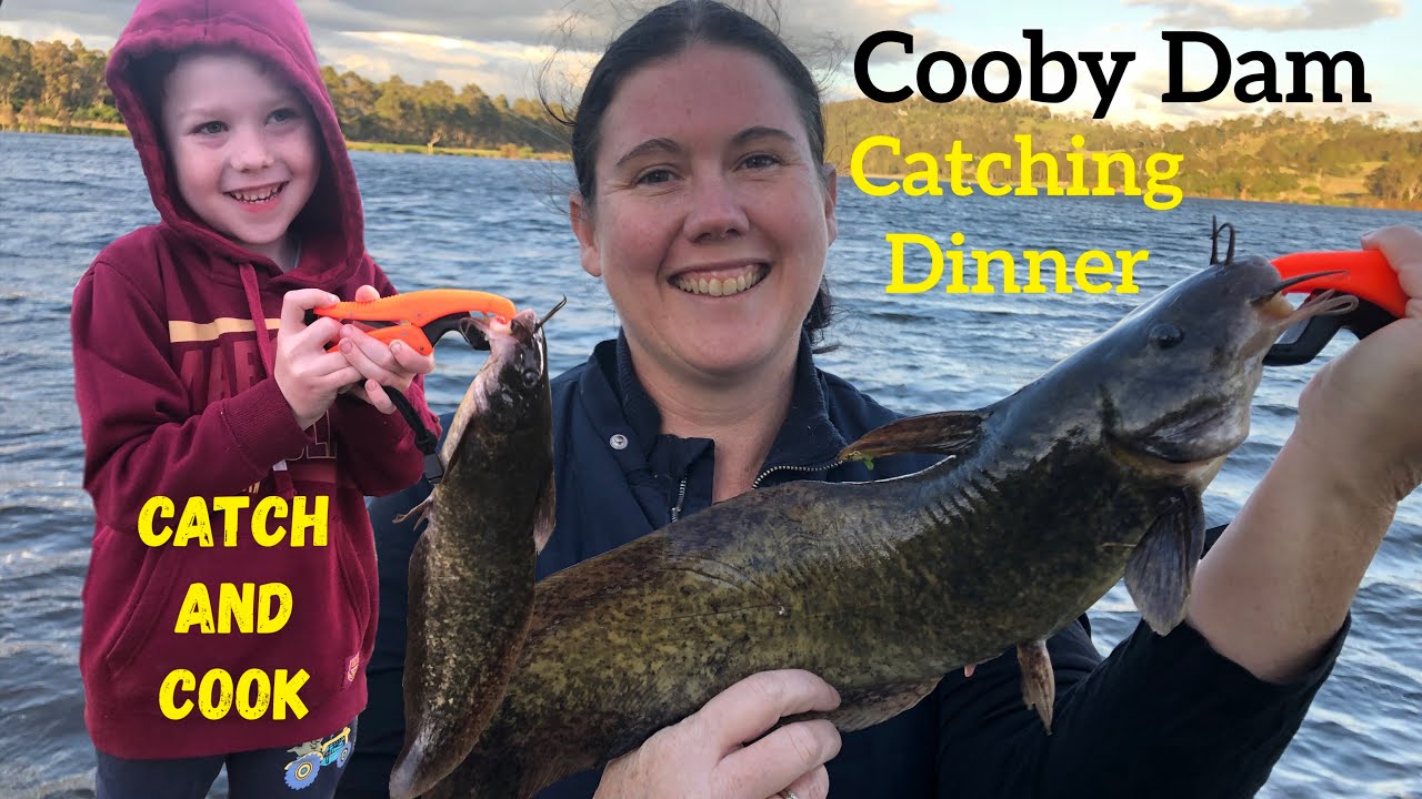 Catching Fish and Chips for Dinner Cooby Dam YouTube