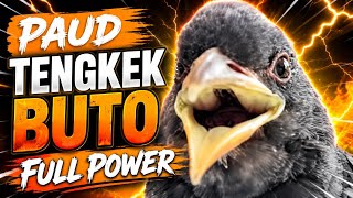 Jernih!!!! MASTERAN TENGKEK BUTO GACOR SUARA JERNIH SPEED RAPAT | TENGKEK BUTO PAUD | 2 Agustus 2026