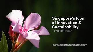 Gardens by the Bay in GSTI | Singapore's Icon of Innovation and Sustainability