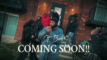 CTF BIRD X BLOCK WORK 13/8 (VIRAL)