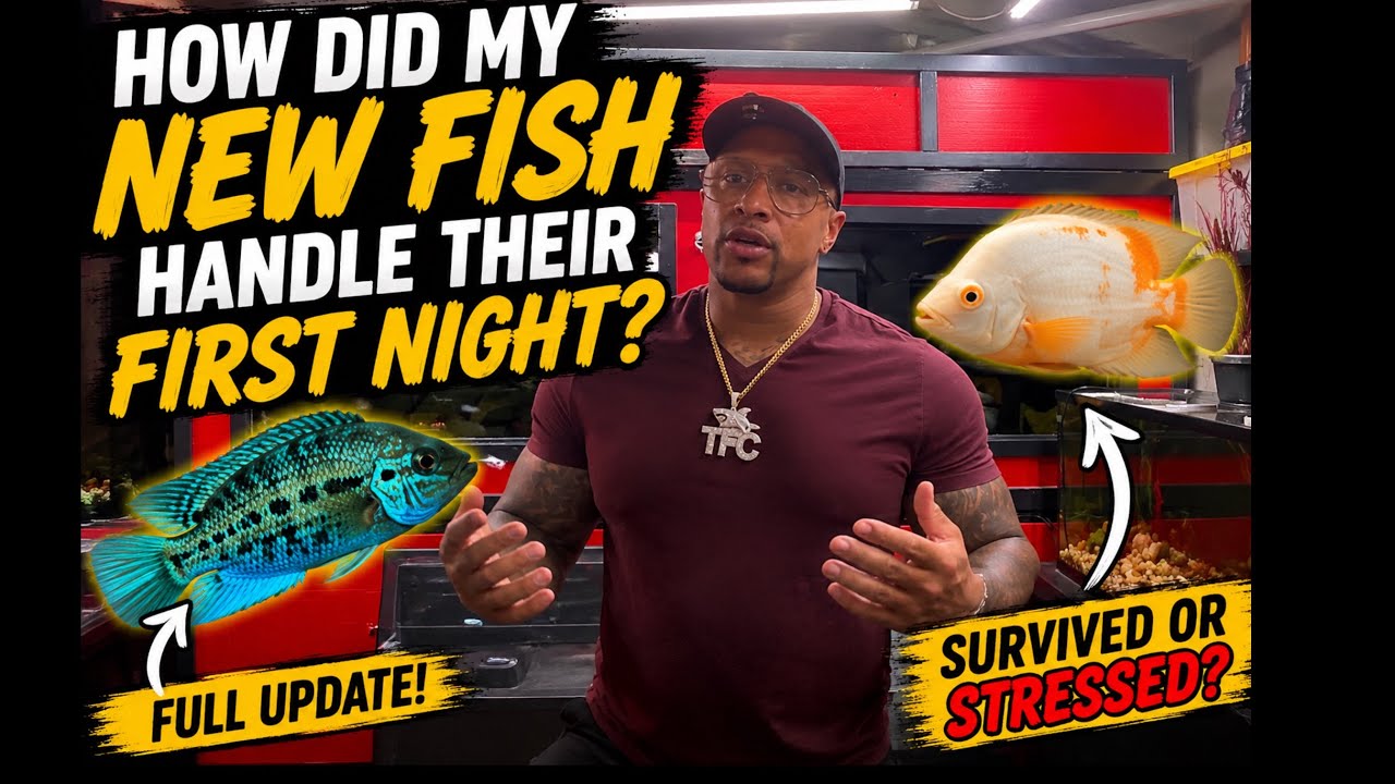 Did My NEW Rare Fish Survive Their First Night?! 😬