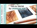 How to draw FUR in COLOURED PENCIL // Step by step tutorial!