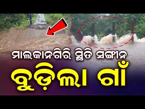 Malkangiri Flood Situation Worsens: Over 1,100 Evacuated, Bridges Submerged | Argus News