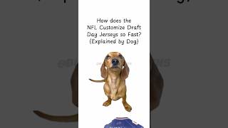 How Does The NFL Make Draft Jerseys So Fast? (Explained by Dog) #NFL #draft #football