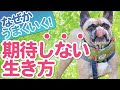 【期待しない生き方】◯◯すると、さらにうまくいく✨