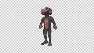 Dancing Monkey - Wild Chimpanzee - Loop - Alpha
