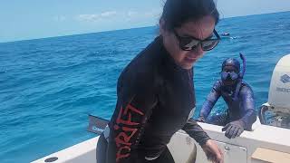 Los Tiburones De Bimini Siempre Contentos Y Jamie Gran Dia De Pesca