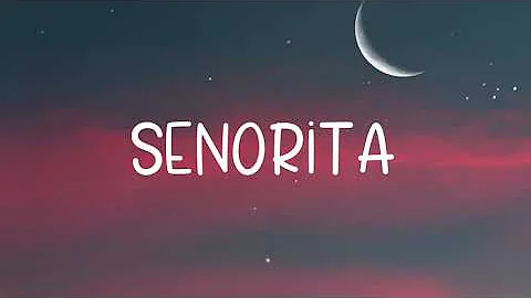 Senorita - DJ Noiz ft. Kennyon Brown, Donell Lewis, Konecs (Lyric Video)