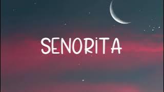 Senorita - DJ Noiz ft. Kennyon Brown, Donell Lewis, Konecs (Lyric Video)