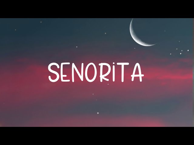Senorita - DJ Noiz ft. Kennyon Brown, Donell Lewis, Konecs (Lyric Video) class=