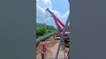 Large oil pipeline construction cranes gather