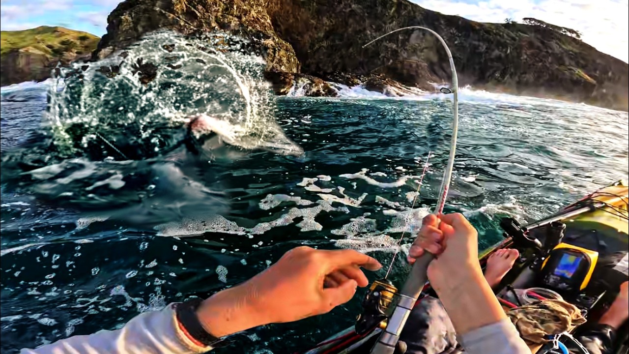 РЫБАЛКА Здесь чувствуется ОБМАН?! (1-ЧАСОВОЙ ФИЛЬМ)