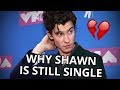 SHAWN MENDES REVEALS REASON HE IS STILL SINGLE!