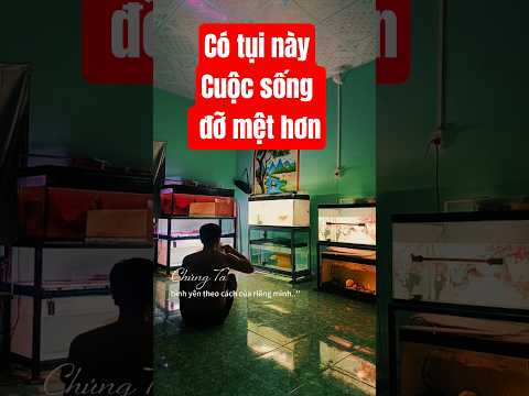 Có tụi này cuộc sống đỡ mệt hơn