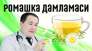 Ромашка дамламасини 7-шифо фойдалари хақида доктор Исчанов