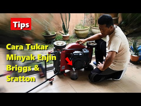 Video: Adakah enjin briggs dan stratton boleh ditukar ganti?