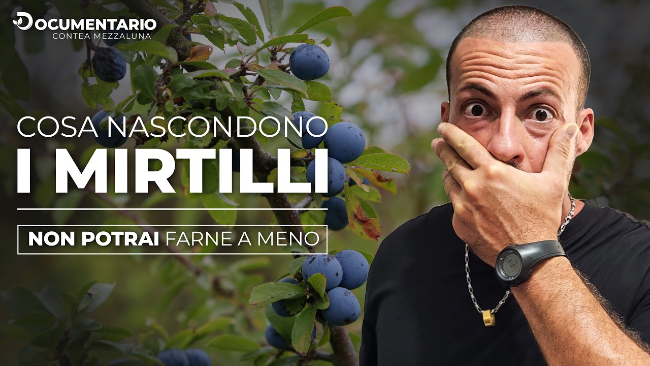 Propagare i Mirtilli: Segreti per Coltivare i Frutti di Bosco