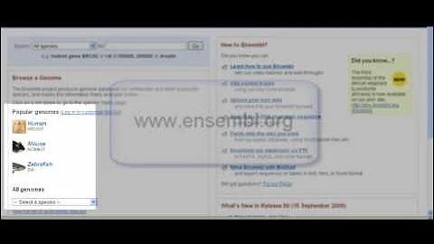 Ensembl Genome Browser