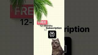 🚀 Enjoy Perplexity Pro FREE for 12 months (worth ₹17,000).