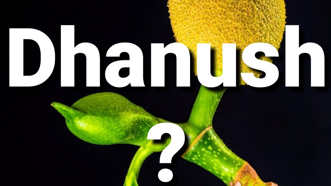 Dhanush Name Status Dhanush Name Meaning Dhanush Name WhatsApp