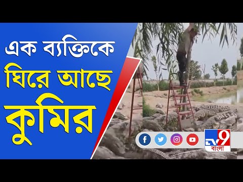 ভিডিও: ফ্যাসিস্টিক মানে কি?