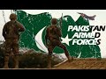 Pakistan armed forces 30