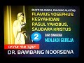 Flavius yosephus kesyahidan rasul yakobus saudara kristus